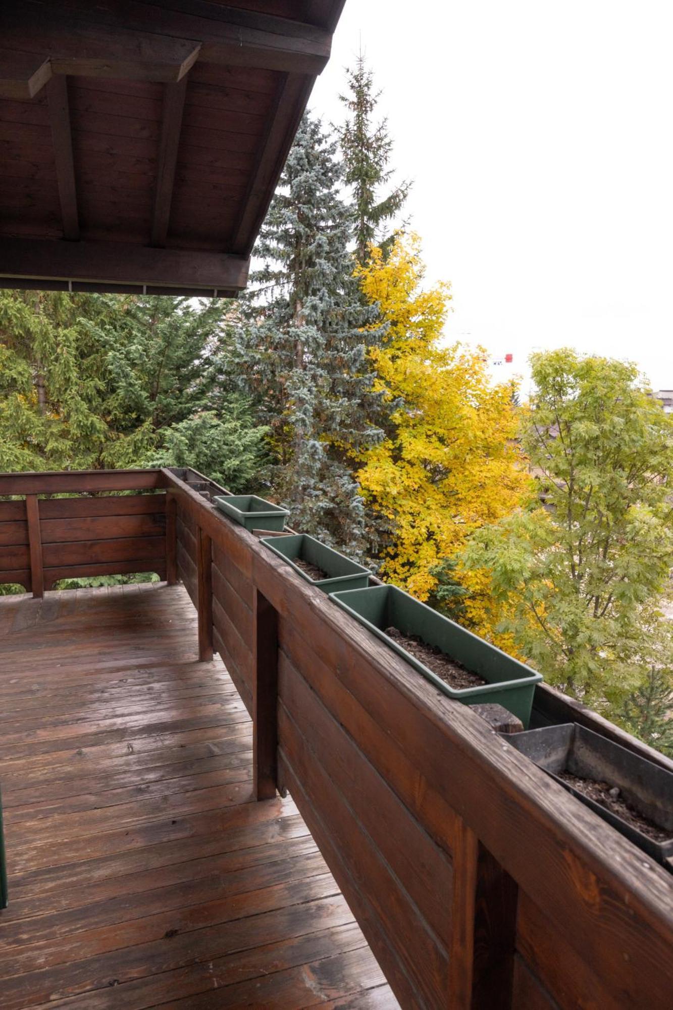 Casa Ca Dei Fiori A Due Passi Dal Centro Di Cortina Apartman Cortina dʼAmpezzo Kültér fotó